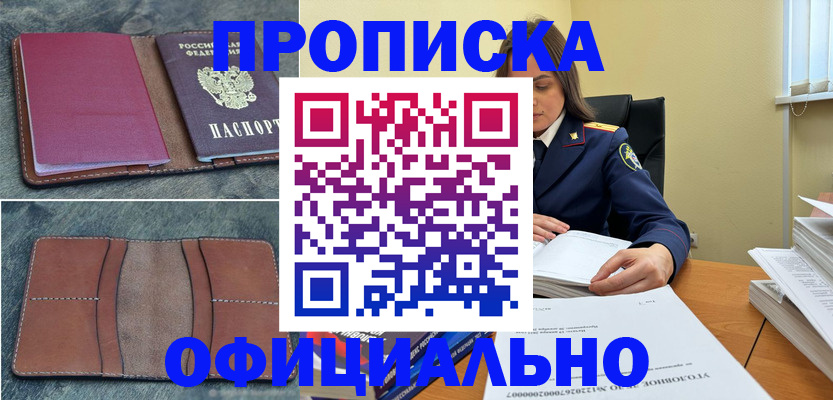 прописка 2025 в Петропавловске-Камчатском